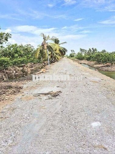 540m2 đất vườn view kênh 10 x 54m chỉ 339 tr