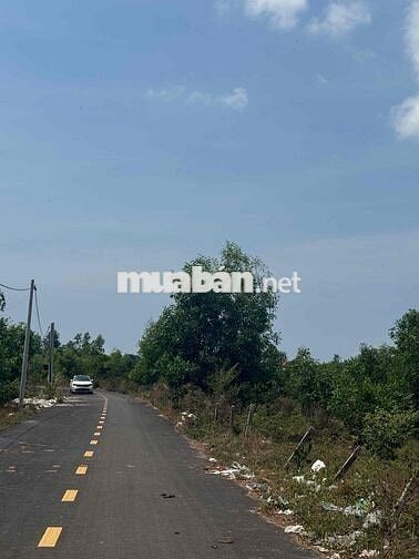 Đất ở Bình Châu, Xuyên Mộc, HCM