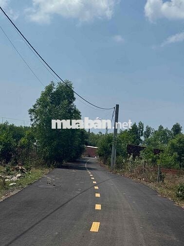 Đất ở Bình Châu, Xuyên Mộc, HCM
