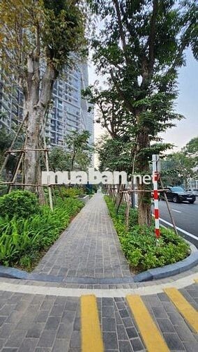 Cho thuê lâu dài căn Studio tầng trung tòa Skyforet ecopack Hưng Yên