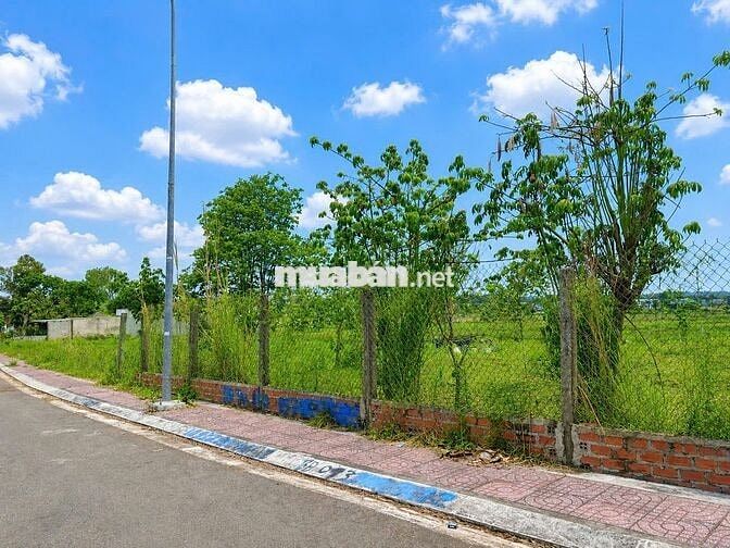 CHÍNH CHỦ NGỘP BANK BÁN GẤP LÔ BIỆT THỰ 140M² ĐỐI DIỆN CHUNG CƯ 9 TẦNG