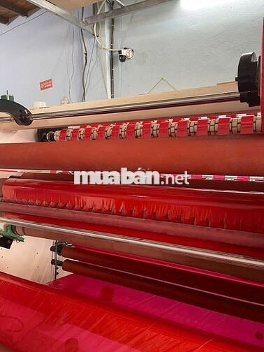Tuyển Lao Động Phổ Thông Sản Xuất Băng Keo