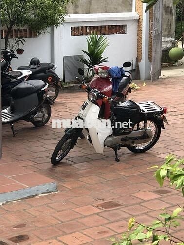 Honda 81/89 màu Trắng, Đen