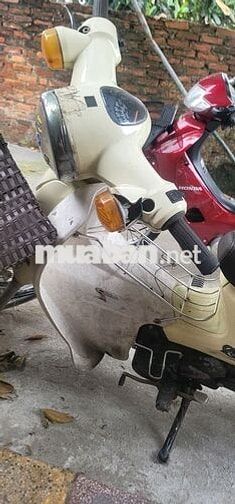 Honda Cub màu Kem