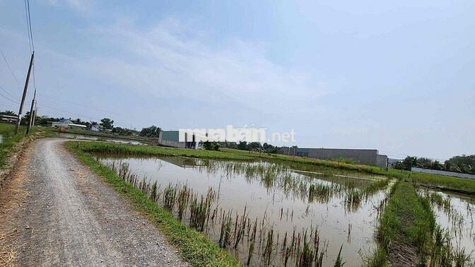 Bán 138M2 thổ cư ( 5 x 27.6 ) , Ấp Thuận Hòa 1 Xã Hòa Khánh Đức Hòa LA