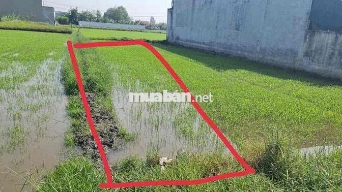 Bán 138M2 thổ cư ( 5 x 27.6 ) , Ấp Thuận Hòa 1 Xã Hòa Khánh Đức Hòa LA