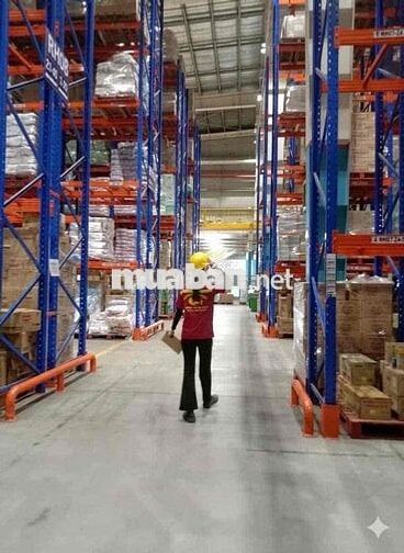 SOẠN HÀNG KHO CON CƯNG – DĨ AN