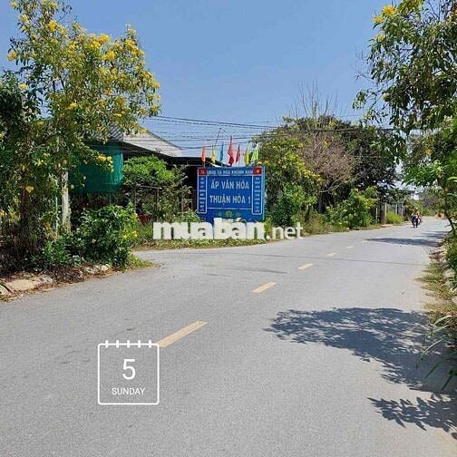 Bán 138M2 thổ cư ( 5 x 27.6 ) , Ấp Thuận Hòa 1 Xã Hòa Khánh Đức Hòa LA