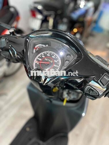 vison biển đẹp 6878