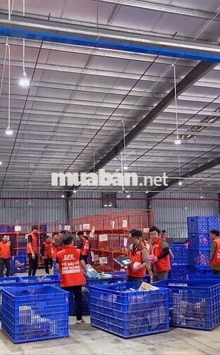  SPX HẢI PHÒNG - CẦN TÌM NHÂN VIÊN KHO SHOPEE