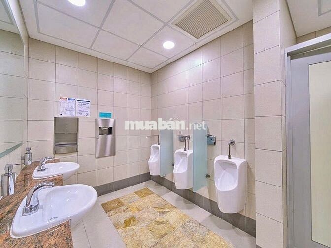 🏢 CHO THUÊ TÒA NHÀ VĂN PHÒNG ĐƯỜNG NGUYỄN DU,TRUNG TÂM SÀI GÒN Q1 ✨