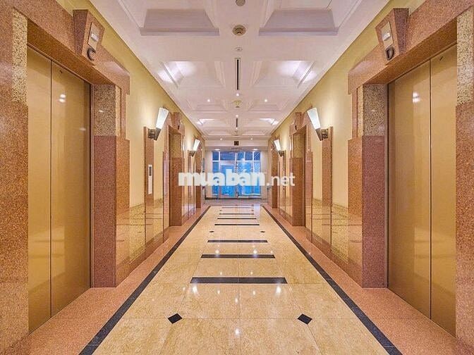 🏢 CHO THUÊ TÒA NHÀ VĂN PHÒNG ĐƯỜNG NGUYỄN DU,TRUNG TÂM SÀI GÒN Q1 ✨