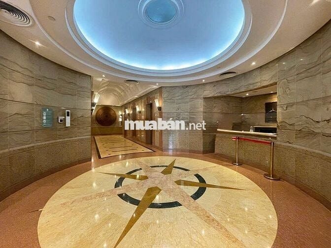 🏢 CHO THUÊ TÒA NHÀ VĂN PHÒNG ĐƯỜNG NGUYỄN DU,TRUNG TÂM SÀI GÒN Q1 ✨