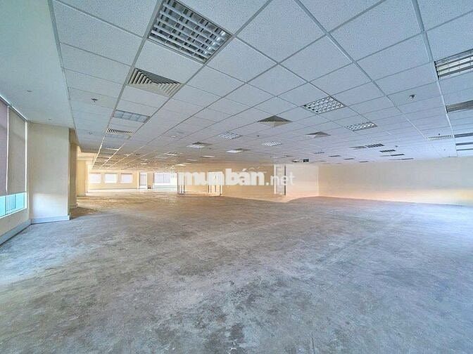 🏢 CHO THUÊ TÒA NHÀ VĂN PHÒNG ĐƯỜNG NGUYỄN DU,TRUNG TÂM SÀI GÒN Q1 ✨