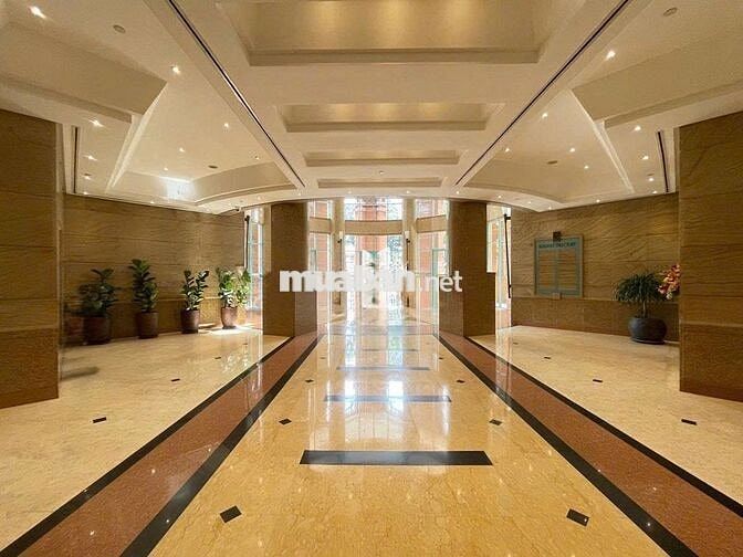 🏢 CHO THUÊ TÒA NHÀ VĂN PHÒNG ĐƯỜNG NGUYỄN DU,TRUNG TÂM SÀI GÒN Q1 ✨