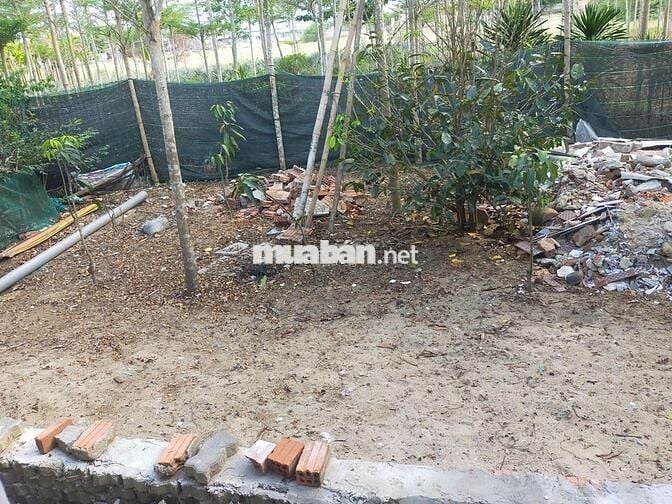 Nhà cấp 4 nguyên căn mặt tiền đường Điện Biên Phủ, Hội An.