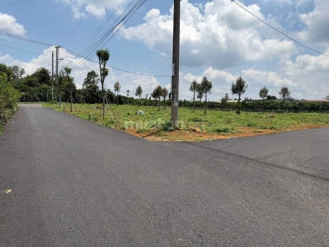 500m² ĐẤT ĐÀ LẠT GIÁ CHỈ : 1,5 TỶ, ĐƯỜNG 5M