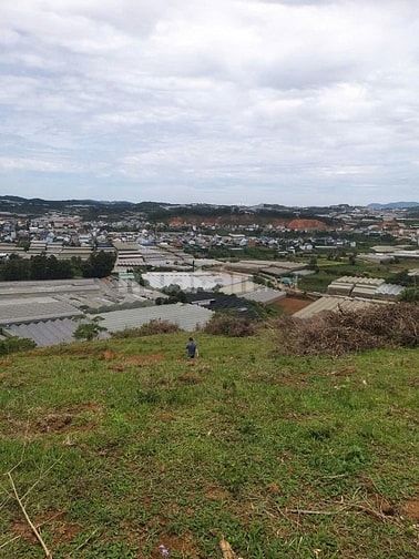 500m² ĐẤT ĐÀ LẠT GIÁ CHỈ : 1,5 TỶ, ĐƯỜNG 5M