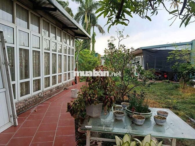 THUÊ NHÀ VUỜN PHÚ DIỄN 40M2 4 TRIỆU/1 THÁNG