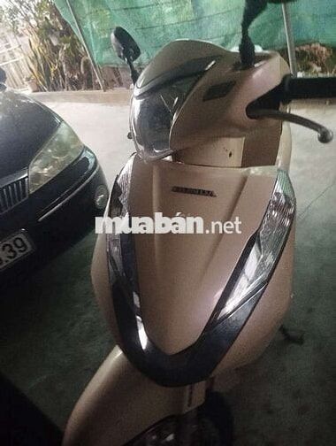 Honda Lead Vàng kem