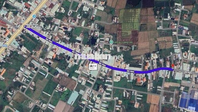 bán đất đường gò hưu 5x33.6 gần chợ mỹ hạnh nam đức hoà long an