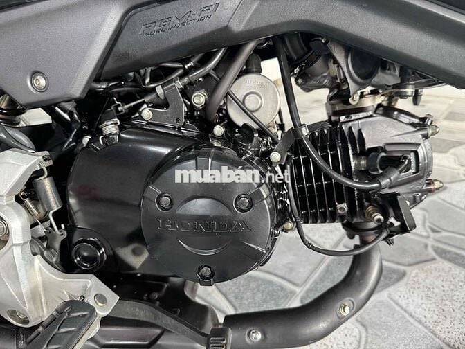 Honda MSX 125 Trắng Nguyên zin