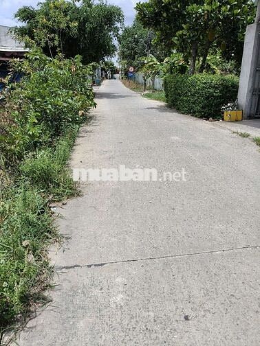 Đất thổ cư mặt tiền đường bà kiểu 