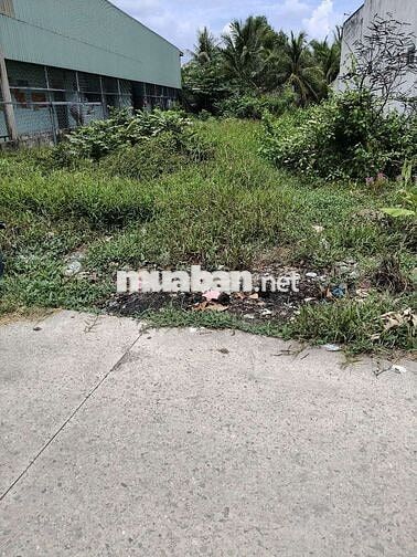 Đất thổ cư mặt tiền đường bà kiểu 
