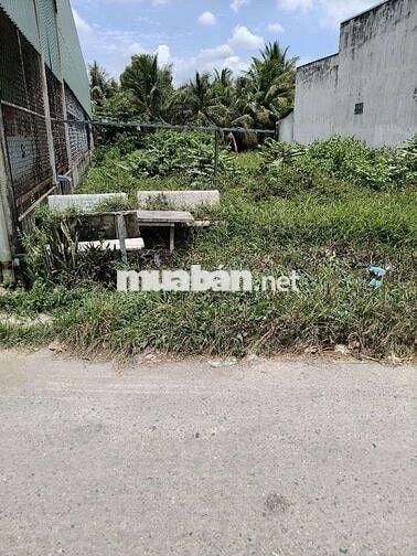 Đất thổ cư mặt tiền đường bà kiểu 