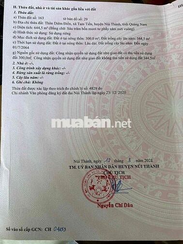 VIEW SÔNG TAM TIẾN CỰC MÁT – SỞ HỮU NGAY ĐẤT 2 MẶT TIỀN, TẶNG KÈM NHÀ