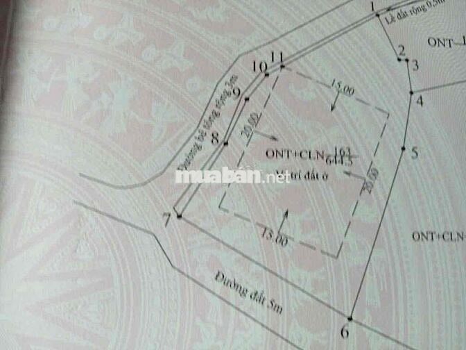 VIEW SÔNG TAM TIẾN CỰC MÁT – SỞ HỮU NGAY ĐẤT 2 MẶT TIỀN, TẶNG KÈM NHÀ