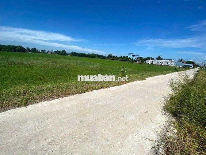 Đất thổ cư đường công cộng 7 mét.