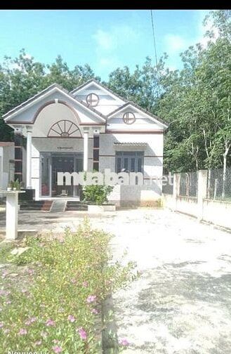 NHÀ MÁI THÁI GẦN KHU CÔNG NGHIỆP MINH HƯNG 3