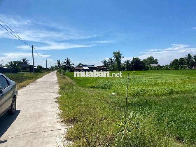 Đất thổ cư đường công cộng 7 mét.