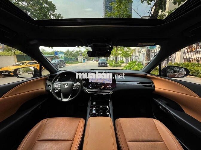 Lexus RX350 Premium 2024 Nâu đồng