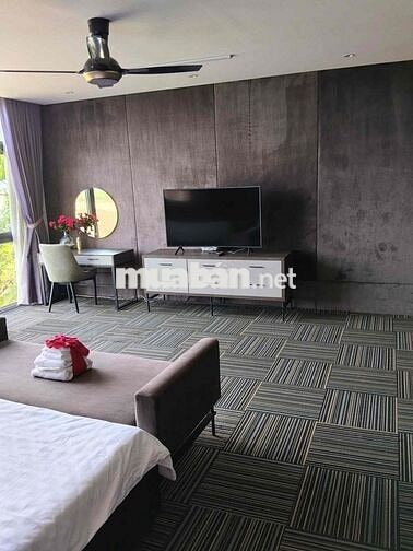 🌟 CHO THUÊ VILLA 4 TẦNG VIEW SÔNG ĐẲNG CẤP – KHU HÒA XUÂN (SÁT EURO VI