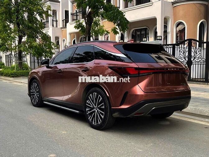 Lexus RX350 Premium 2024 Nâu đồng