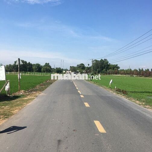 Chính chủ kẹt tiền bán gấp đât Thái Mỹ , Củ Chi , 1 tỷ 2 thương lượng
