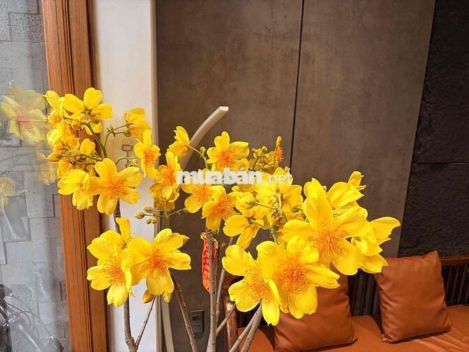 Bán Nhầ mặt tiền Hà Huy Tập ngay biển Nguyễn Tất Thành