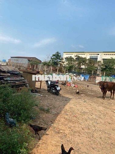 Đất vườn Phường Bình Chiểu ,cách mt Ngô chí Quốc 300m