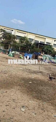 Đất vườn Phường Bình Chiểu ,cách mt Ngô chí Quốc 300m