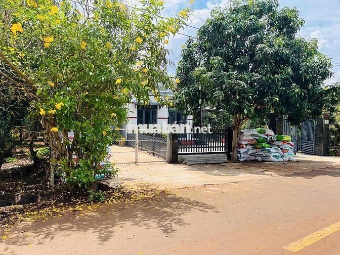 BÁN GẤP LÔ ĐẤT 2400M2 GIÁ NGỢP 395TR. GIÁ SỐT🔥🔥🔥