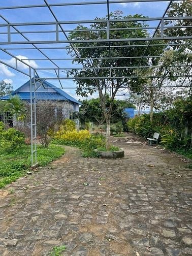 CHÍNH CHỦ CẦN BÁN GẤP ĐẤT NỀN DIỆN TÍCH1000M² - SỔ HỒNG RIÊNG 