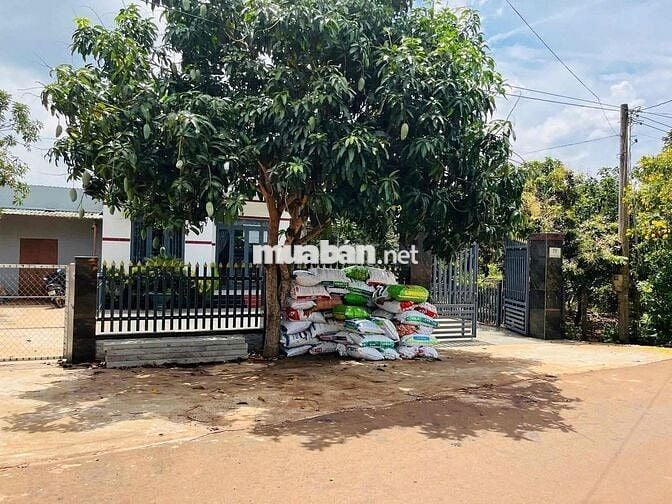 BÁN GẤP LÔ ĐẤT 2400M2 GIÁ NGỢP 395TR. GIÁ SỐT🔥🔥🔥