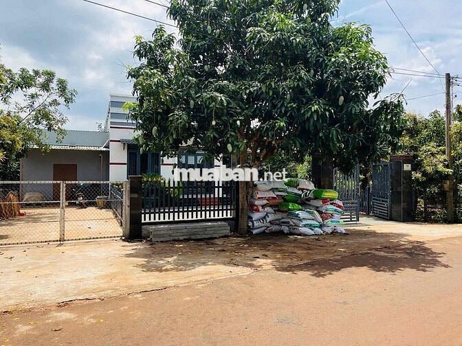 BÁN GẤP LÔ ĐẤT 2400M2 GIÁ NGỢP 395TR. GIÁ SỐT🔥🔥🔥