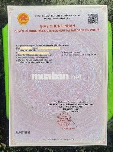 LONG AN - BÁN NHÀ YẾN 3 SÀN ĐANG KHAI THÁC 1KG/ THÁNG