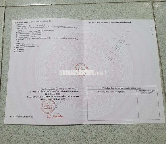chính chủ bán đất đường 51 Phường bình dương thành phố hồ chí minh 