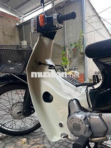 Honda Super Cub Trắng kem