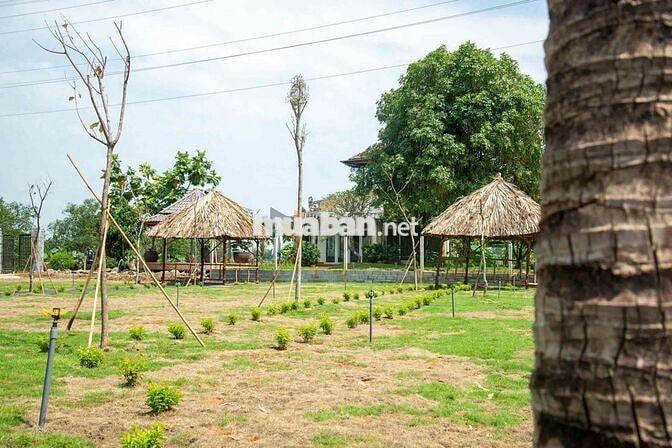Đất view sông ngay đường bờ kè bửu long