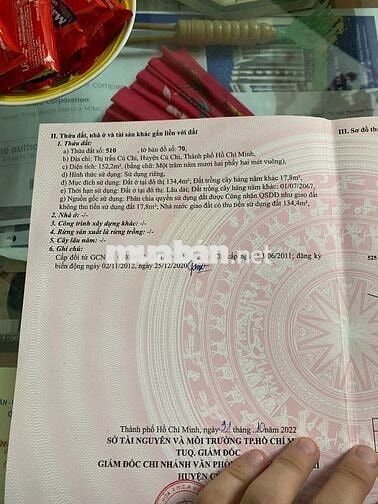 CHỦ ĐI MỸ BÁN GẤP ĐẤT MẶT TIỀN NGUYỄN PHONG SẮC, TT CỦ CHI - SỔ RIÊNG